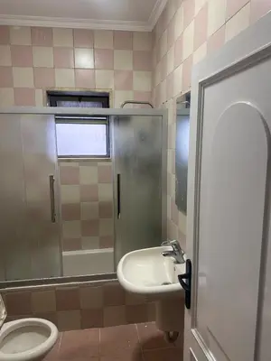 a bathroom with a sink and a shower and a toilet at Rasheed pearl in Amman
