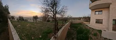 a tree in a field next to a building at Mountain Pad Overlooking Jerash - HQ Budget stay in Jerash