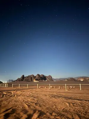 a group of animals standing in a dirt field at night at Dawn Rum Luxury Camp in Wadi Rum