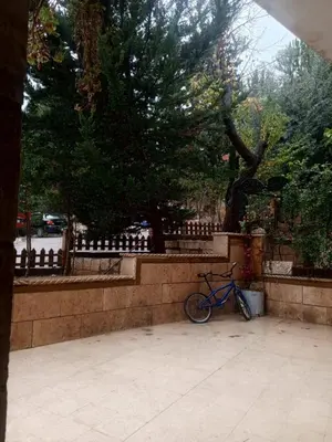 a blue bike parked next to a brick wall at Flowers in Jerash