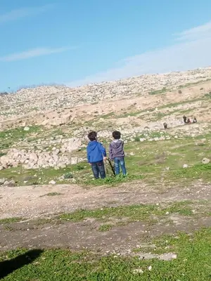 two people standing on top of a hill at Flowers in Jerash