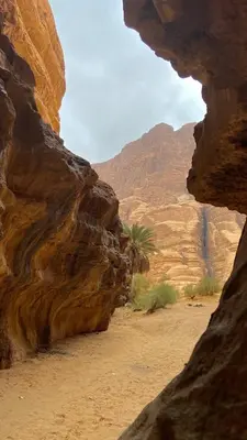 a view of the desert from a cave in a canyon at Desert Glow Wadi Rum in Wadi Rum