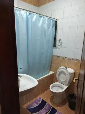 a bathroom with a toilet and a sink at Cozy 3 bed-2 bath furnished apartment in Amman
