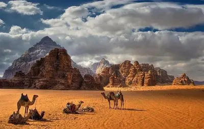 a group of camels in the desert with mountains at Your Bedouin family home in Disah