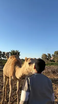 a man kissing a camel in a field at Your Bedouin family home in Disah