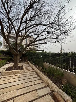 a tree on a stone path next to a tree at فيلا مميزة في عمان - Special Villa in Amman in Amman