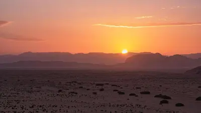 a sunset in the desert with a herd of cattle at Wadi Rum Luxury Trend in Wadi Rum