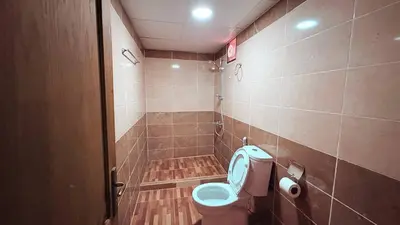 a bathroom with a toilet and a shower at Hello Desert Camp & Tour