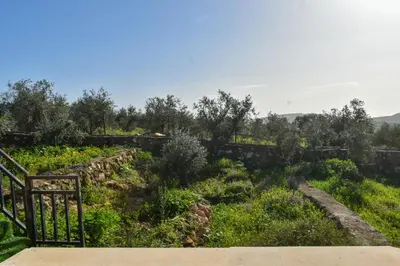 a garden in the middle of a field at Um Al Namel Villa & Chalet