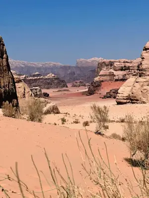 a view of a desert with rocks and bushes at Isabella Desert Camp & Tour in Wadi Rum