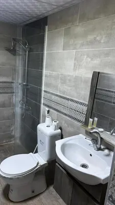 a bathroom with a toilet and a sink at The Red Rock Camp in Wadi Rum