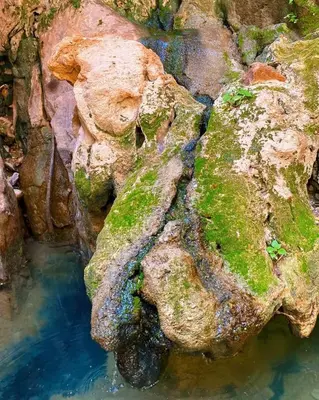 a group of rocks with green moss on them at Dana Trail Nomad Camp in Dana
