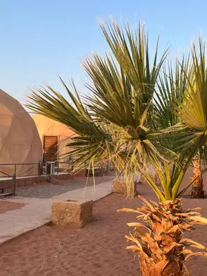 a couple of palm trees in front of a building at Imperial Rum Luxury Camp in Wadi Rum