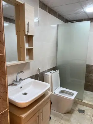 a bathroom with a sink and a toilet at Rina Luxury Camp in Disah