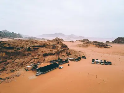 a group of camels parked in a desert at Khaled's Camp - Wadi Rum in Wadi Rum