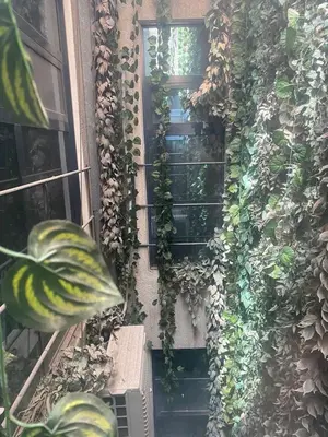 a building with plants growing on the side of it at Torino Hotel Amman in Amman