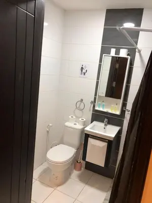 a bathroom with a toilet and a sink and a mirror at Panda Hotel Apartments in Amman