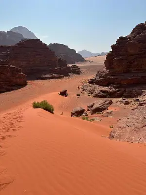 a desert with red sand and rocks and a dirt field at Bedouin Tours Camp in Wadi Rum
