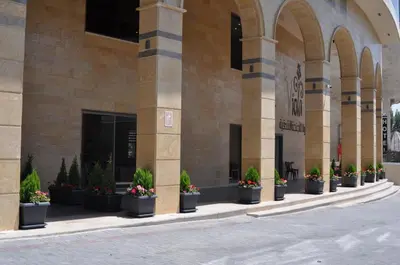 a row of potted plants on the side of a building at Viola Hotel Suites in Amman