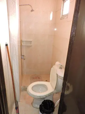 a small bathroom with a toilet and a shower at Valentine Inn in Wadi Musa