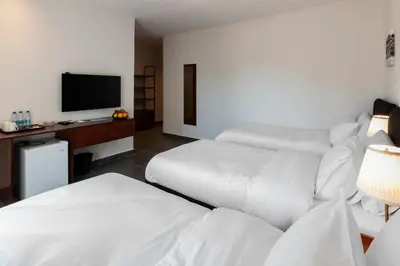 a hotel room with two beds and a television at Canary Boutique Hotel in Amman