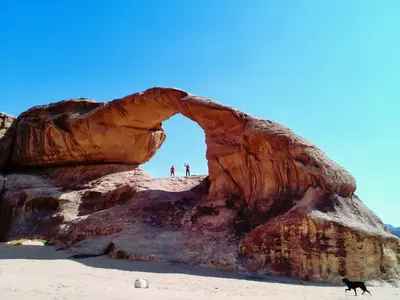 a dog standing in front of a rock formation at MalakoRum in El Quweira