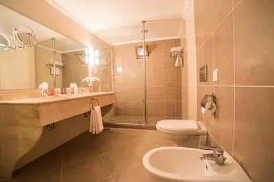a bathroom with a sink and a toilet and a shower at The Old Village Hotel & Resort in Wadi Musa