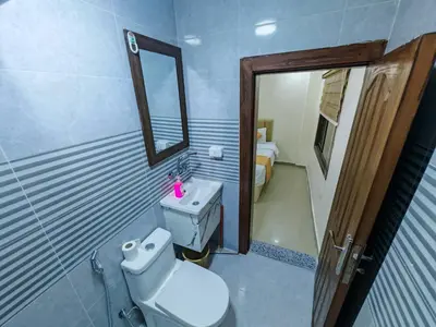 a bathroom with a toilet and a sink and a mirror at Petra Gate Hotel in Wadi Musa