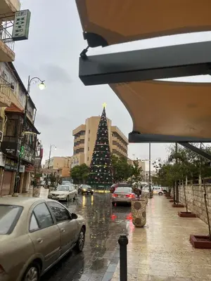 a christmas tree on a busy city street with cars at Pilgrim's Guest House in Madaba