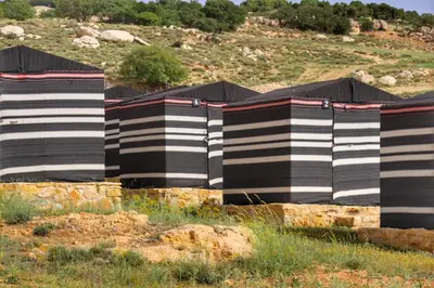 a group of black and white buildings in a field at Ein lahda camp-site in Dana
