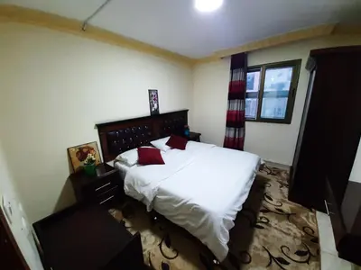 a bedroom with a bed with white sheets and red pillows at Petra Visitors Hotel in Wadi Musa
