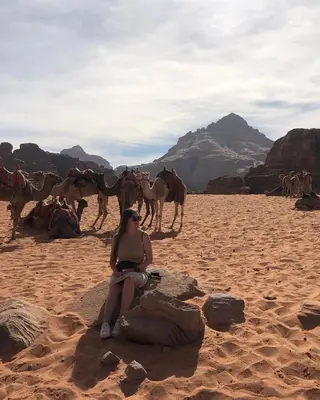 a woman sitting on a rock in front of a herd of camels at Wadi Rum Bubble Camp in Wadi Rum