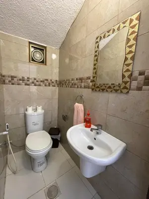 a bathroom with a toilet and a sink at Orient Villa-Dead Sea in Sowayma