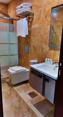 a bathroom with a toilet and a sink at Shaqilath Hotel in Wadi Musa