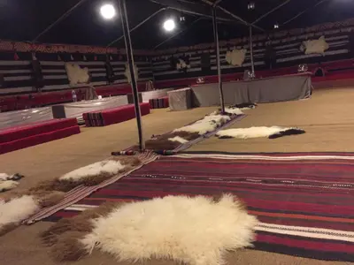 a group of sheep laying on the floor of an arena at Magic Wadi Rum in Wadi Rum