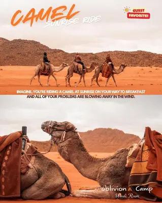 a camel magazine page with two camels in the desert at Oblivion Camp Wadi Rum in Wadi Rum