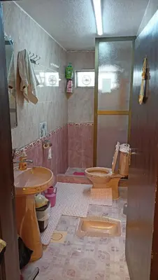 a bathroom with a toilet and a sink and a shower at Petra Heritage House in Wadi Musa