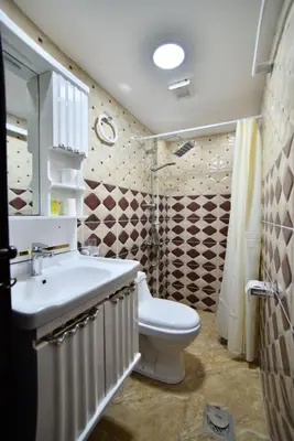a bathroom with a toilet and a sink and a shower at Petra Guests Hotel in Wadi Musa