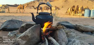 a pot over a camp fire with camels in the background at bedouin future camp in Wadi Rum