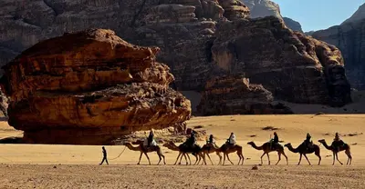 a group of people riding on camels in the desert at Desert shine camp in Wadi Rum
