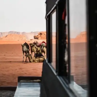 Desert shine camp