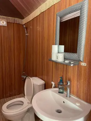 a bathroom with a toilet and a sink and a mirror at Discover the life of Wadi Rum camp in Wadi Rum