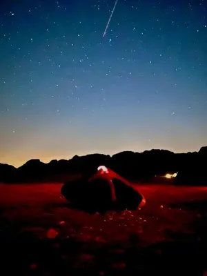 a bird laying down in a field at night at Wadi rum galaxy camp in Wadi Rum