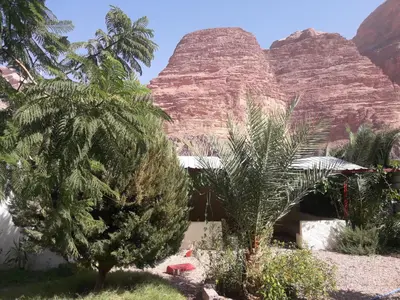 a view of the desert with palm trees and rock formations at WadiRum Village Lodge in Wadi Rum