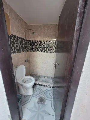 a bathroom with a toilet and a shower at WadiRum Village Lodge in Wadi Rum