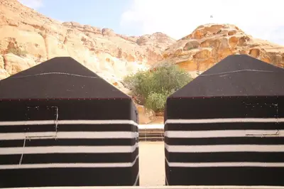 two black and white objects in front of a canyon at Ammarin Bedouin Camp in Wadi Musa