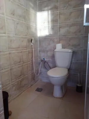 a bathroom with a toilet and a shower at Wadi Rum Caravan Camp in Wadi Rum
