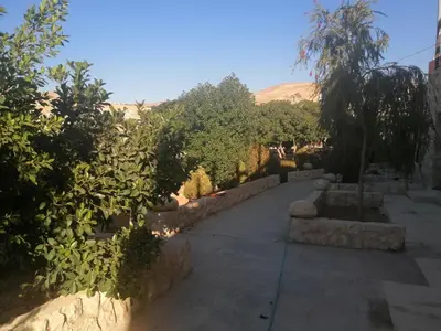 a walkway with trees and a mountain in the background at Infinity Lodge in Wadi Musa