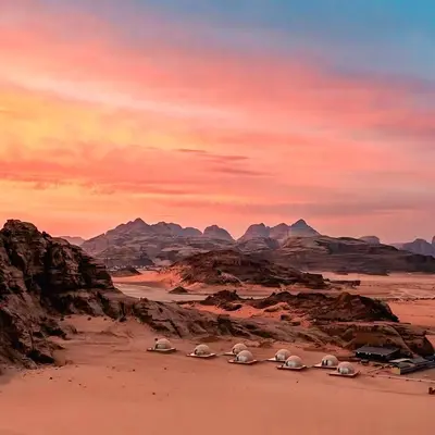 a group of animals standing in the desert at Wadi Rum Maracanã camp in Wadi Rum