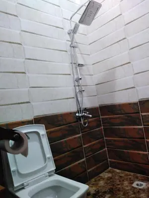 a bathroom with a toilet with a shower at moon valley site jerash in Jerash